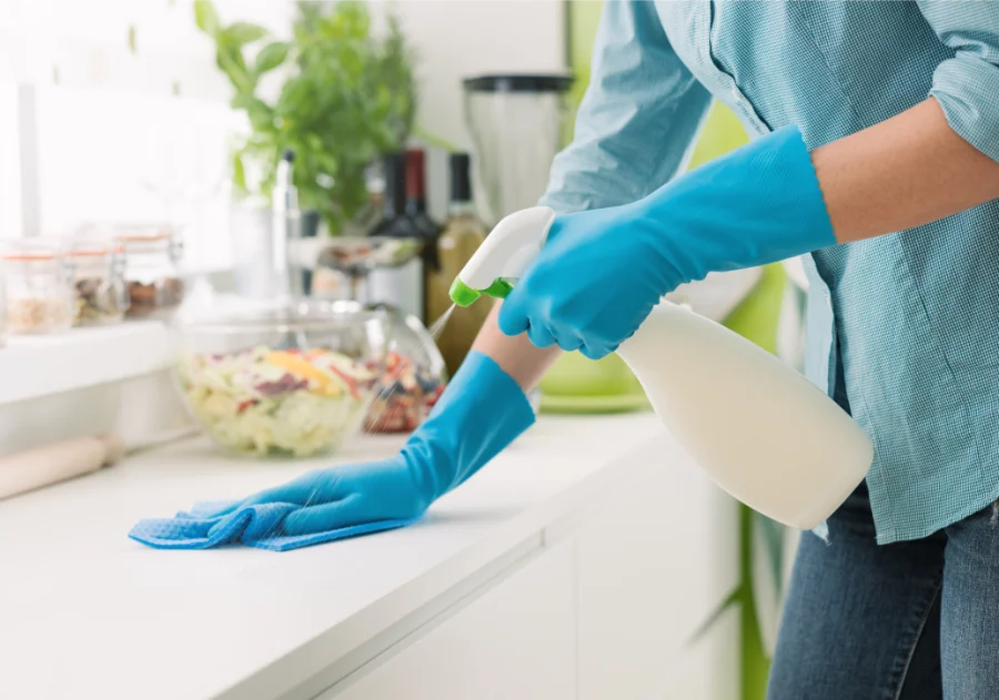 Professional Spring Cleaning in Lawrenceville, GA Professional Spring Cleaning in Lawrenceville, GA